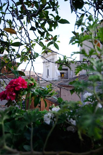 vista