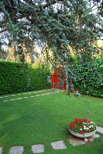 garden